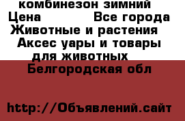 комбинезон зимний › Цена ­ 1 300 - Все города Животные и растения » Аксесcуары и товары для животных   . Белгородская обл.